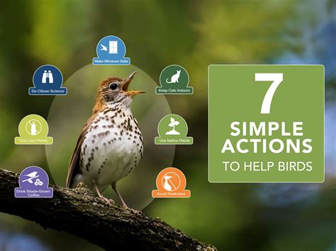 bird support.